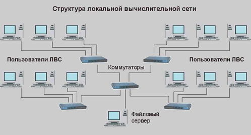 網絡工程實習報告與拓撲圖實戰指南