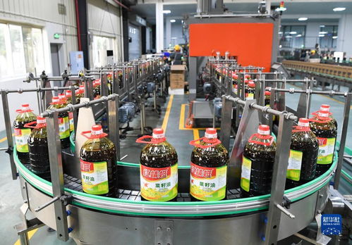 新華全媒 丨國家級食用油保供企業(yè)數(shù)字化改造提升保供水平 潤滑油脂
